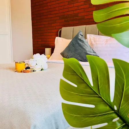 Maison Warmth - Elegant Sunlit 2br Near Piata Victoriei Apartmán *